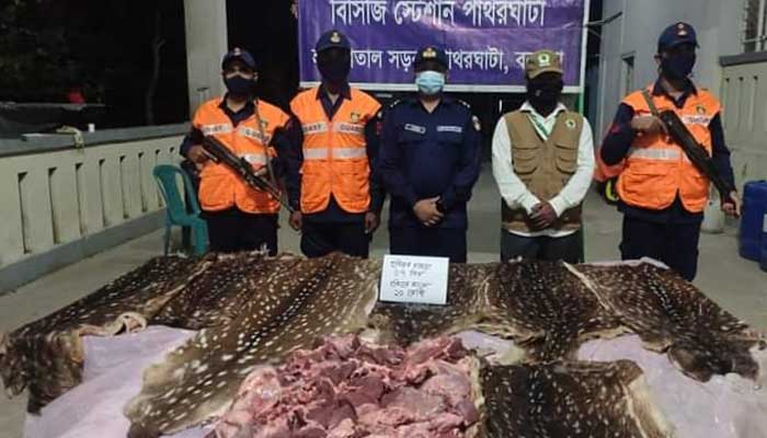পাথরঘাটায় সাতটি হরিণের চামড়াসহ মাংস উদ্ধার