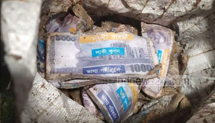 ধরতে গেলেন মাছ, মিলল ৬৬ লাখ টাকা!
