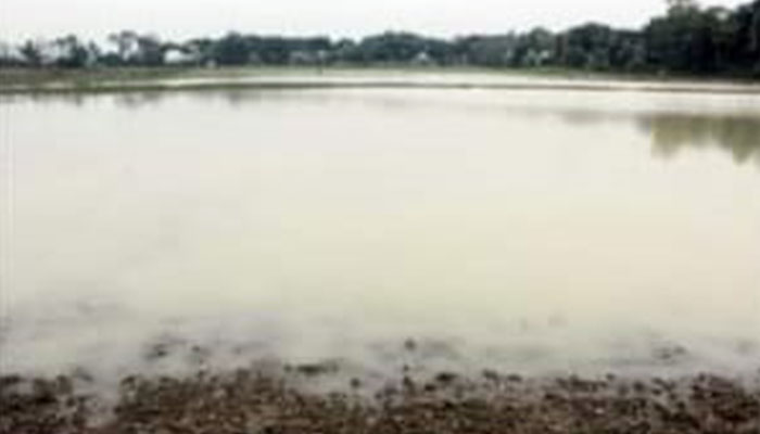 চরভদ্রাসনে টানা বর্ষনে ১ হাজার ৬শ একর রবি ফসল বিনষ্ট