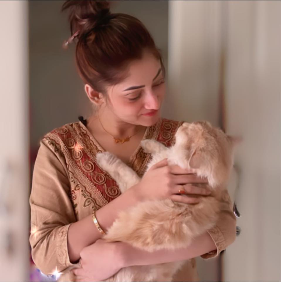 লাইভে এসে কাঁদলেন পূজা