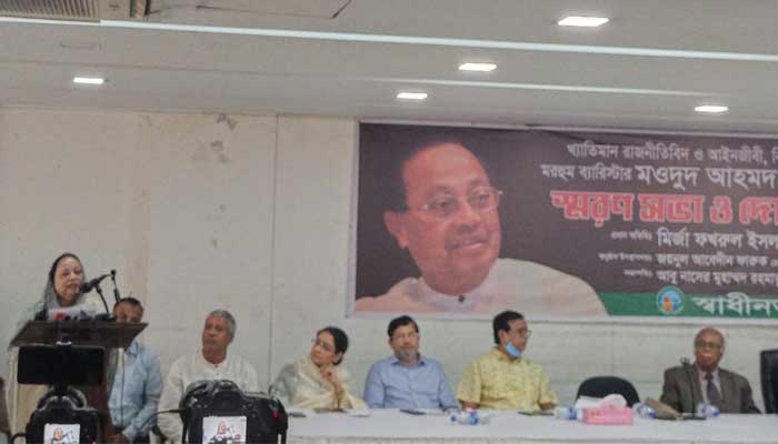 মওদুদ হত্যার ঘটনা একদিন প্রমাণিত হবে: হাসনা মওদুদ