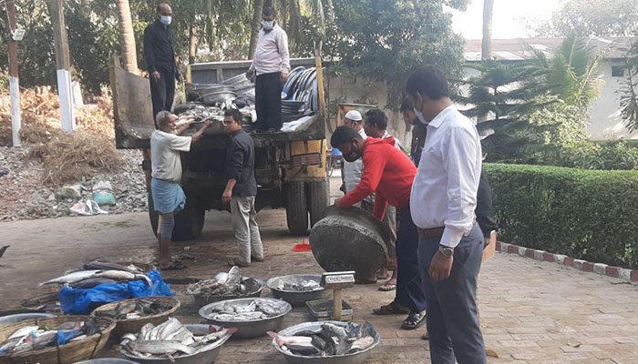 অস্থায়ী কাঁচাবাজারে ডিএসসিসির অভিযানে ১ টন মাছ জব্দ