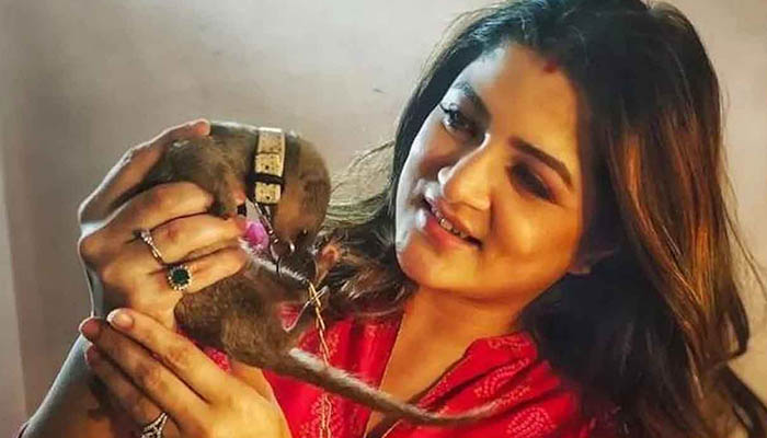 বড় বেকায়দায় পড়লেন শ্রাবন্তী