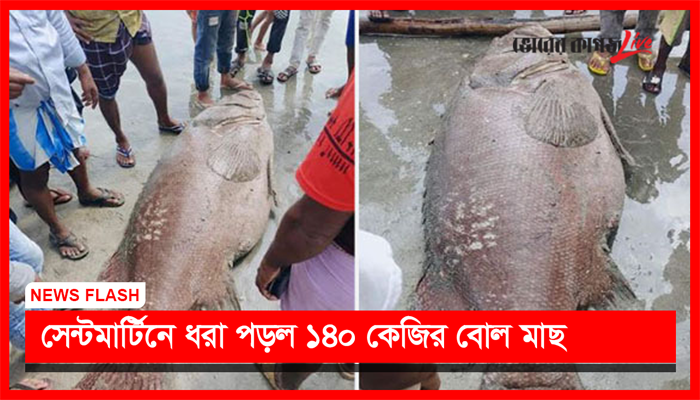 নিউজ ফ্ল্যাশ