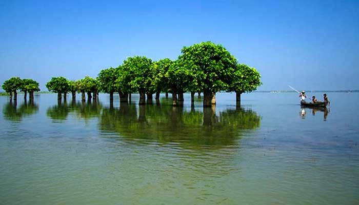 হাওরে আর সড়ক নির্মাণ নয়, মন্ত্রিসভায় সিদ্ধান্ত