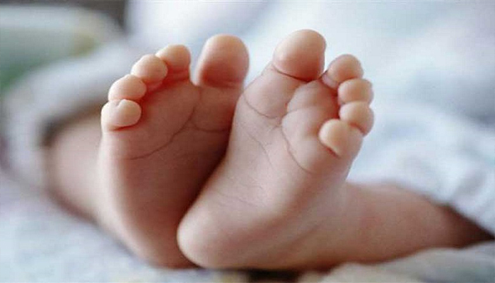 বরগুনার পাথরঘাটা থেকে নবজাতকের মৃতদেহ উদ্ধার