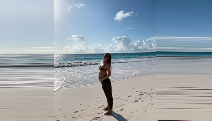 মা হচ্ছেন টেনিস তারকা শারাপোভা