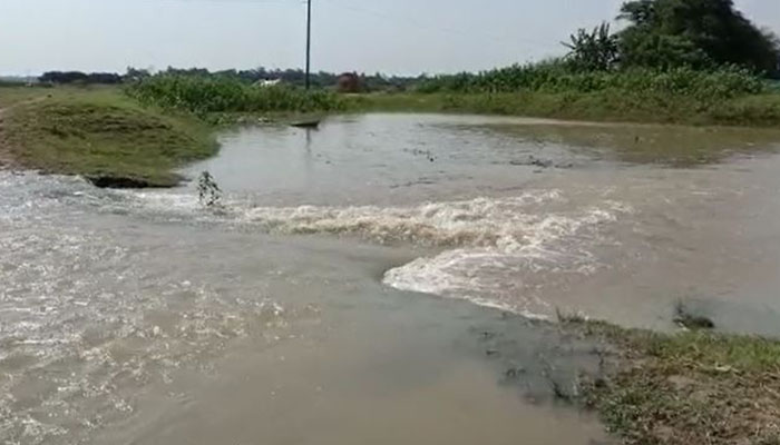 দিরাইয়ে নদীর পানি উপচে ঢুকছে বরাম হাওরে (ভিডিও)
