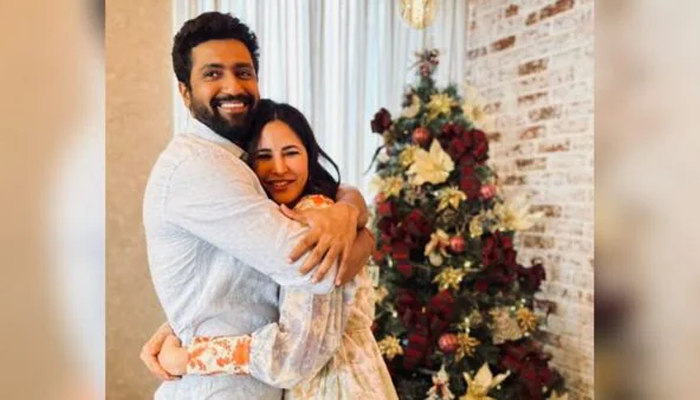 সুইমিং পুলে ভিকি ও ক্যাটরিনার ছবি ভাইরাল