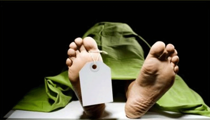 সরিষাবাড়ীতে ট্রেনের ধাক্কায় পল্লীবিদ্যুতের ২ কর্মকর্তার মৃত্যু