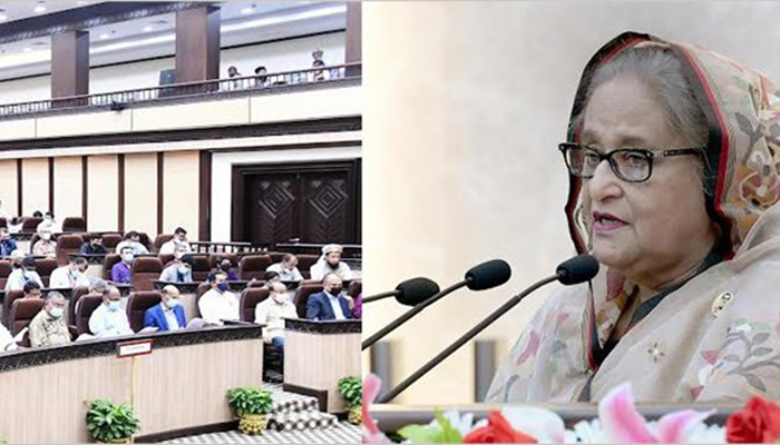 বাঙালি কখনো কোনো চাপের কাছে মাথানত করেনি: প্রধানমন্ত্রী