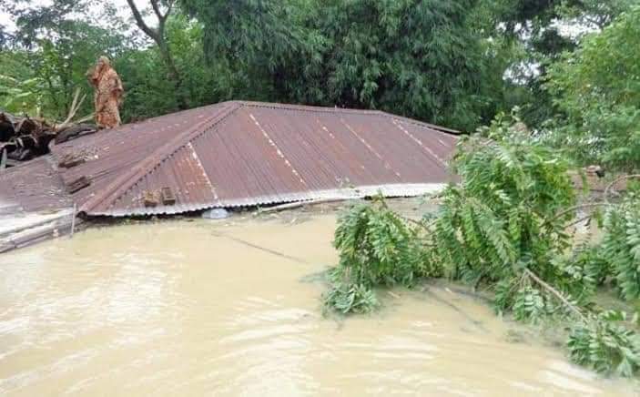 টানা বর্ষণে তিস্তা নদীর পানি বৃদ্ধি, নিম্নাঞ্চল প্লাবিত