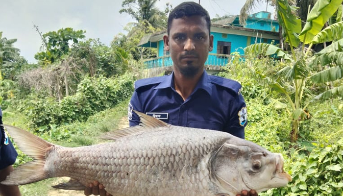 হালদা নদীতে ১২ কেজি ওজনের মৃত কাতল মাছ উদ্ধার