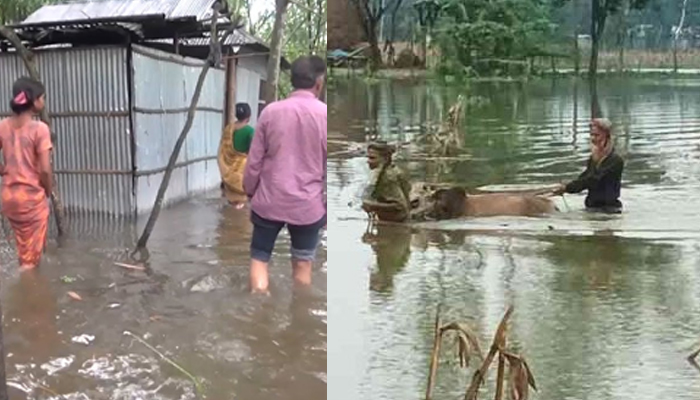 রংপুরের ৫০ গ্রামে পানিবন্দী ২০ হাজার পরিবার