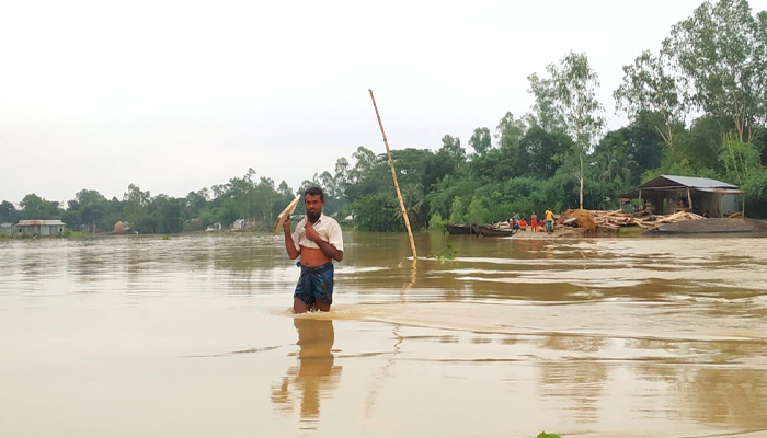 টানা বর্ষণে তিস্তা নদীর পানি বৃদ্ধি, নিম্নাঞ্চল প্লাবিত