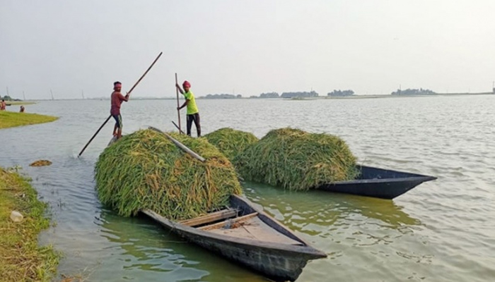 হাওর জনপদে স্বাস্থ্যসেবা ‘নেই’