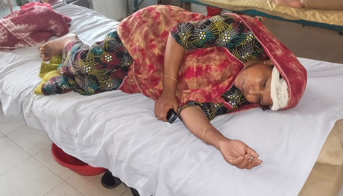 জমি লিখে না দেয়ায় মা-বাবাকে পিটিয়ে হাসপাতালে