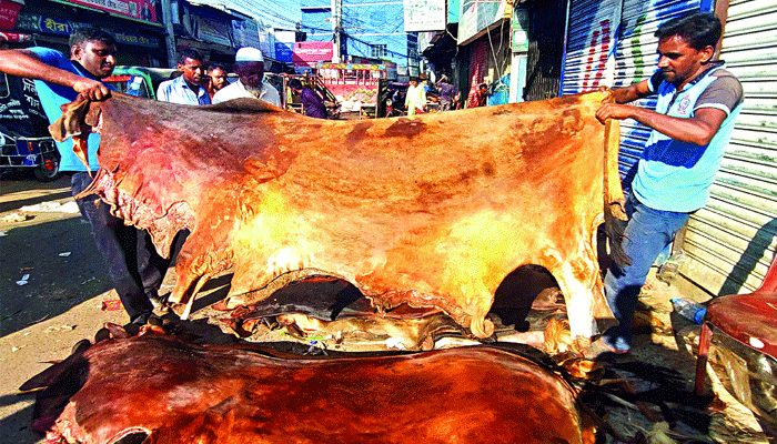 চামড়ায় এবারো কারসাজি, পানির দরে বিক্রি