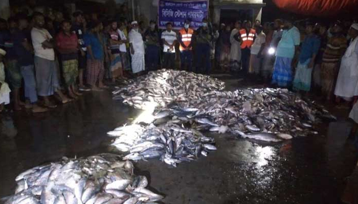 নিষেধাজ্ঞা অমান্য করে ইলিশ ধরার দায়ে ৫ জেলেকে জরিমানা