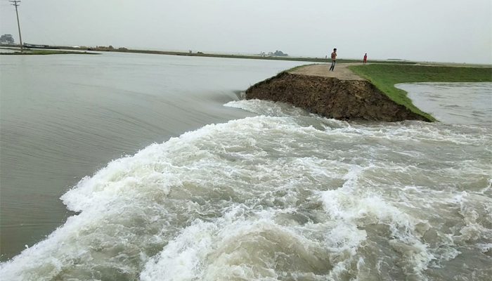 বন্যায় ক্ষতি: কৃষকদের ১১ কোটি টাকার বীজ, সার সহায়তা