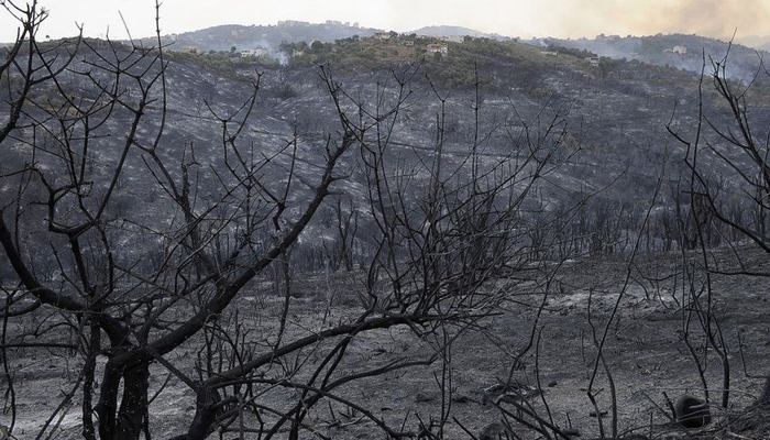 আলজেরিয়ায় ভয়াবহ দাবানলে ২৬ জনের মৃত্যু