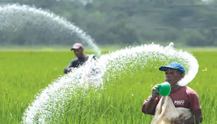 তিন লাখ ৬০ হাজার টন ইউরিয়া সার কিনবে সরকার