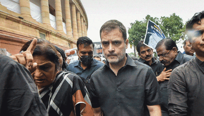 মিছিল নিয়ে রাষ্ট্রপতি ভবন যাওয়ার পথে আটক রাহুল