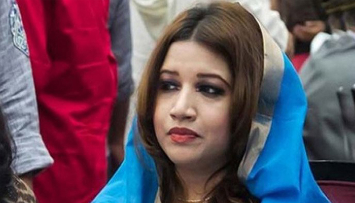 জাতিসংঘের মানবাধিকার প্রতিনিধি দলের আমন্ত্রণে বৈঠক হয়েছে: শামা