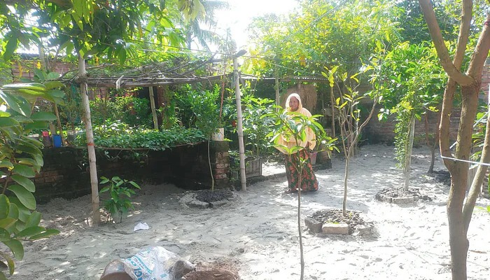 পরিষ্কার হচ্ছে নিলুফার বাড়িতে যাতায়াতের পথ
