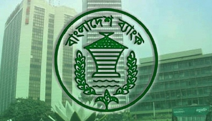 টেকসই অর্থায়নে বিনিয়োগ বেড়েছে ৮৭ শতাংশ