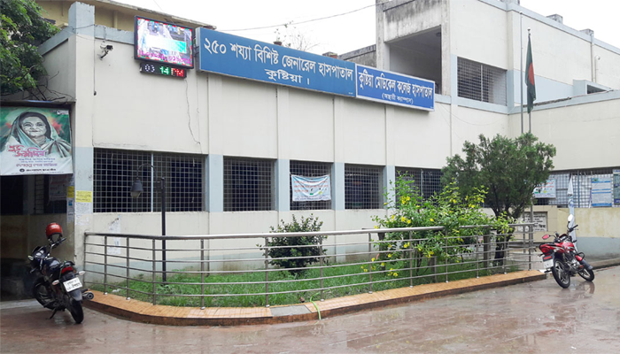 সাপের কামড়ে প্রাণ গেল বউ-শাশুড়ির