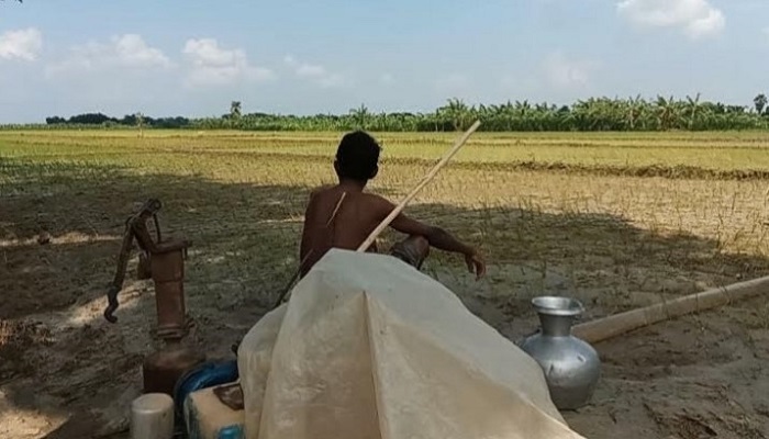 সার সংকটে বিপাকে কৃষক : দেশের বিভিন্নস্থানে বিক্ষোভ