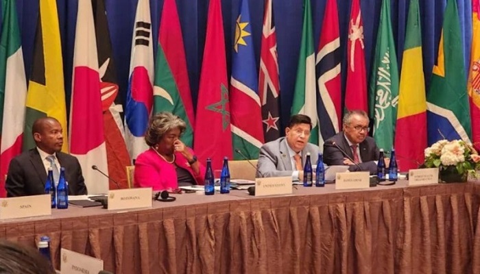 বৈশ্বিক স্বাস্থ্য কৌশল প্রণয়নে জাতিসংঘকে তাগিদ