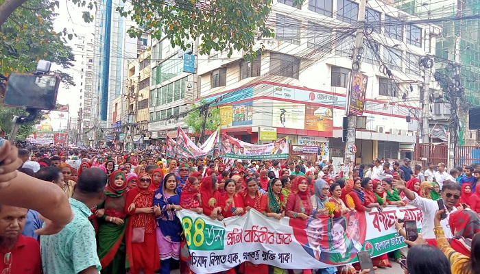 রাজধানীতে বিশাল শোভাযাত্রা বিএনপির