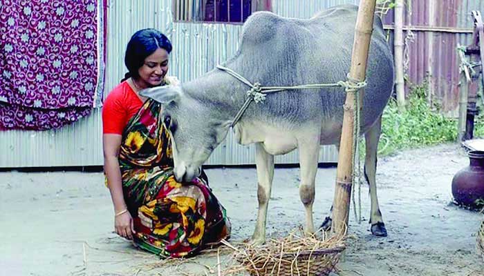 গোয়ার চলচ্চিত্র উৎসবে ‘সাঁতাও’