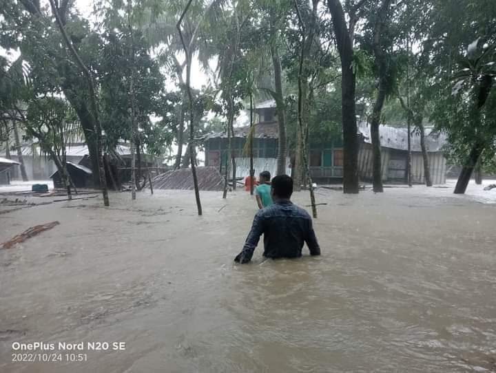 ভোলায় গাছ চাপায় ৫ মৃত্যু