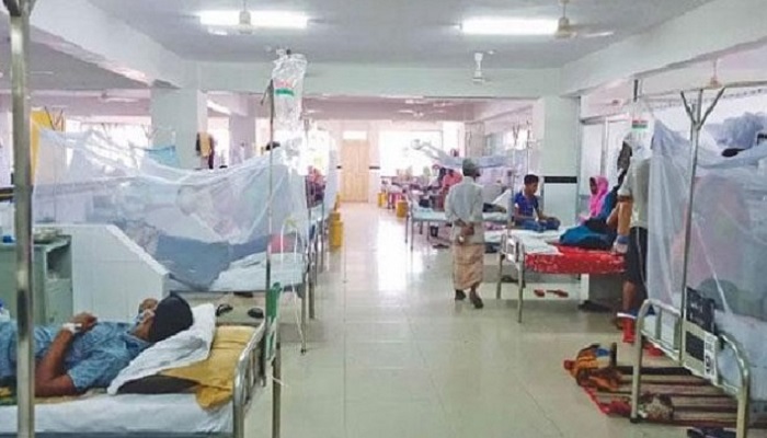 ডেঙ্গুতে মৃত্যু ৩, হাসপাতালে ভর্তি ৮৯৯