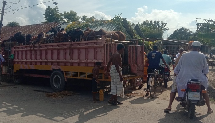 গোমস্তাপুরে ভটভটির ধাক্কায় সাইকেল আরোহী নিহত
