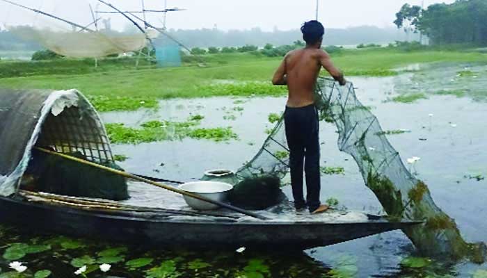 সপ্তাহে ৩ দিন চলবে চেম্বার আদালত