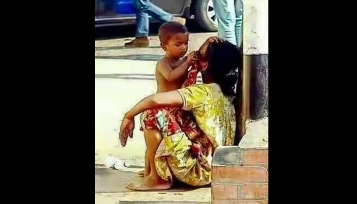 গরুর মাংস