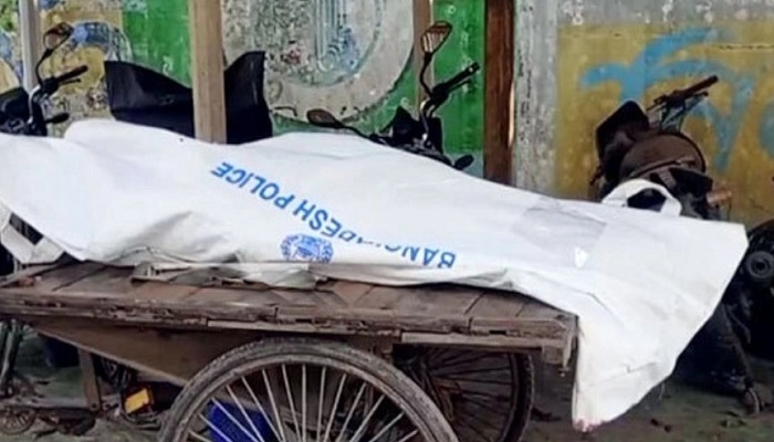 লোহাগড়ায় গাছের ডাল ভেঙে নারীর মৃত্যু