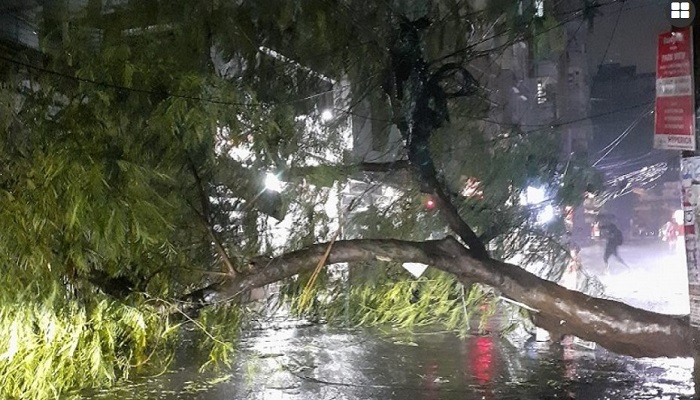 সিত্রাংয়ের তাণ্ডবে ১১ জনের মৃত্যু