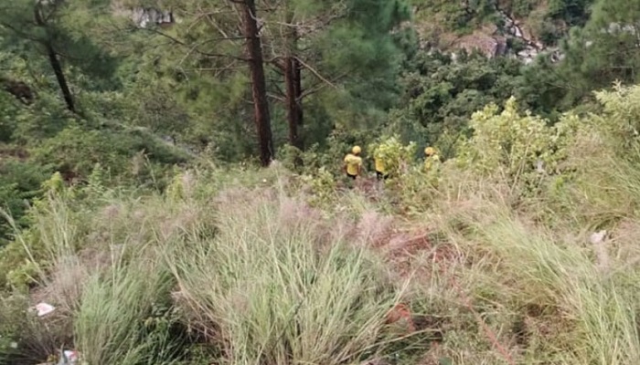 ভারতে বরযাত্রীবাহী বাস খাদে, নিহত ২৫
