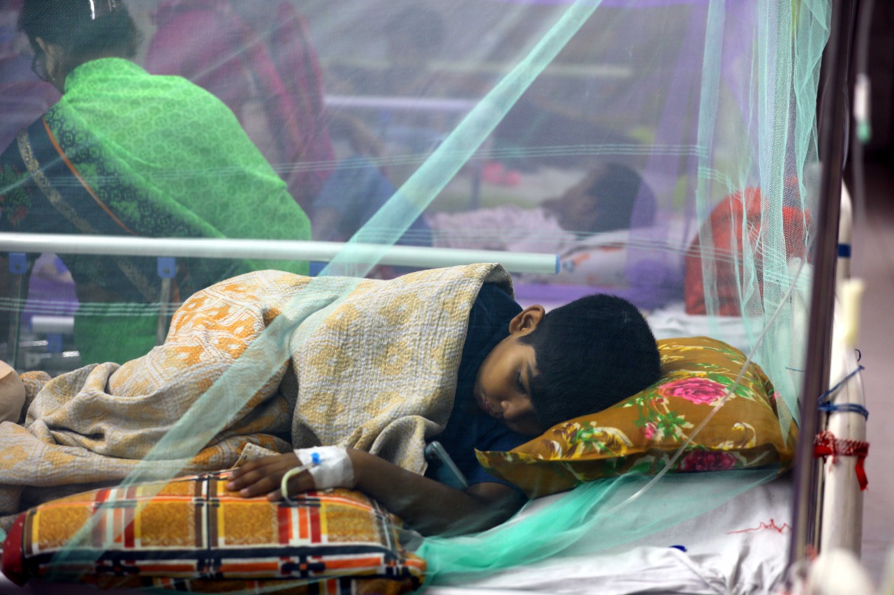 ডেঙ্গুতে মৃত্যু ৫, হাসপাতালে ৯০৩ রোগী