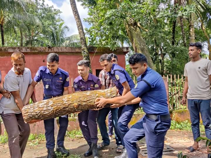 ভোলায় গাছ চাপায় ৫ মৃত্যু