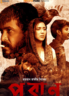যুক্তরাষ্ট্রে রেকর্ড গড়েছে 'পরান'