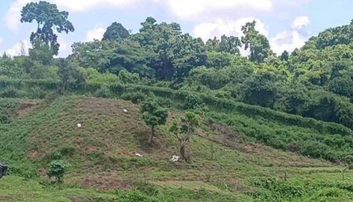 মর্টারশেল বিস্ফোরণে আবার কাঁপলো তুমব্রু