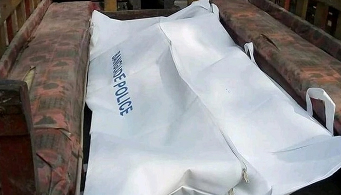 চাটমোহরে ধান ক্ষেতে মিললো বোরাক চালকের মরদেহ
