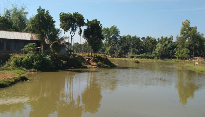 নদী শাসনের অভাবে কোটি টাকার ফসলের ক্ষতি