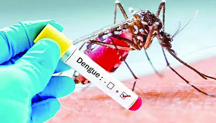 ডেঙ্গুতে মৃত্যু ১, হাসপাতালে ৬৮৫ রোগী